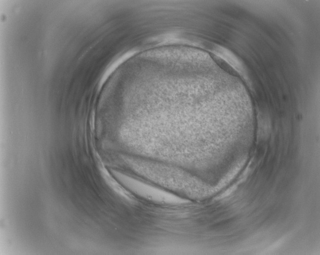 X0000061141198200512091926