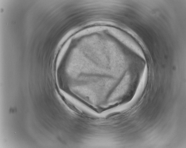 X0000061141199200512091926