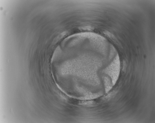 X0000061141201200512091925