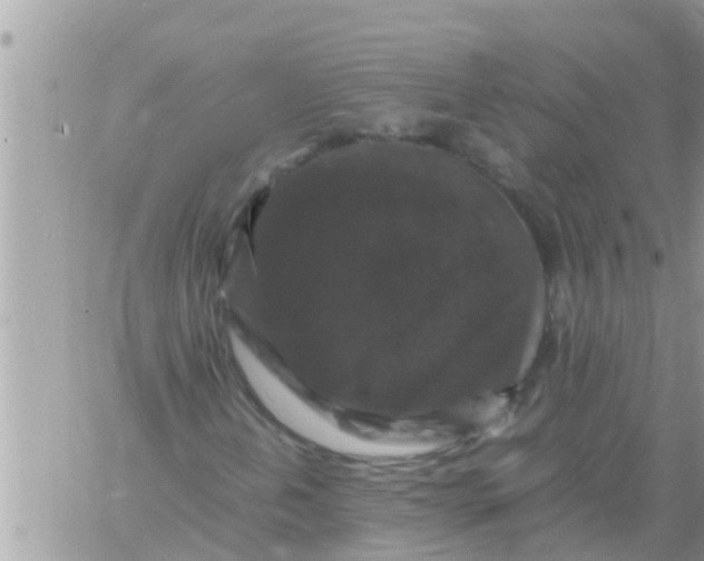 X0000061141202200512091925