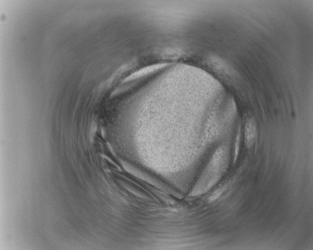 X0000061141204200512091925