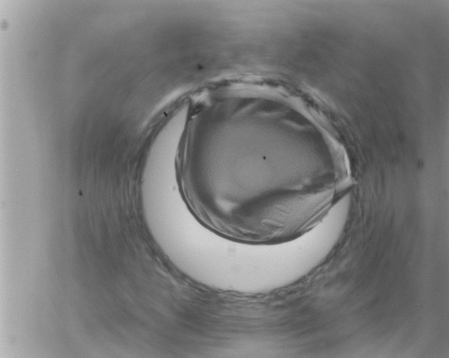 X0000061141206200512091925