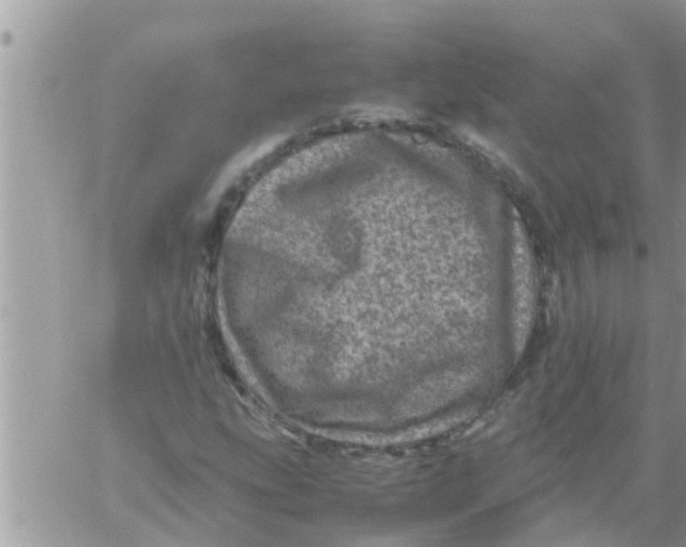 X0000061141207200512091925