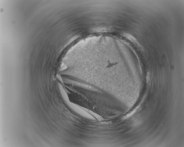 X0000061141209200512091925