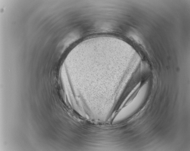 X0000061141210200512091925