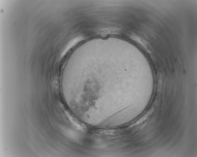 X0000061141211200512091925