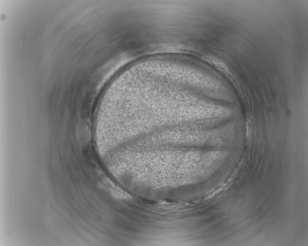 X0000061141212200512091925