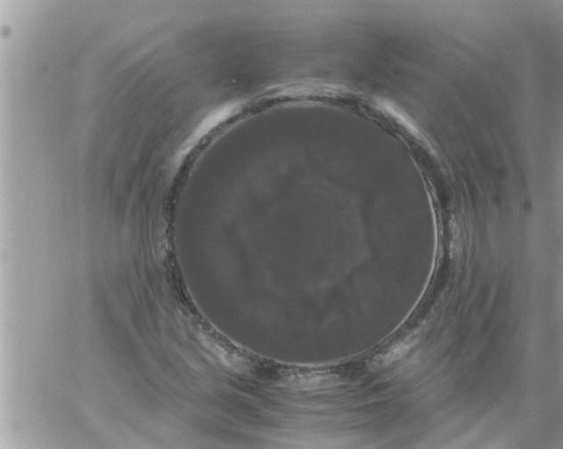 X0000061141213200512091925