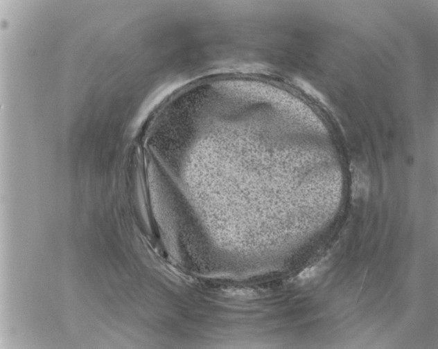 X0000061141215200512091925