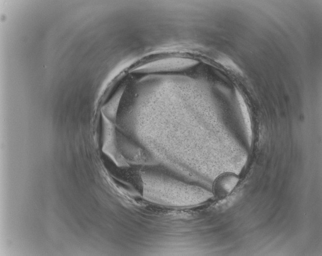 X0000061141216200512091925