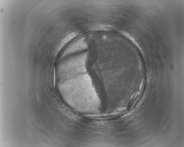 X0000061141219200512091925