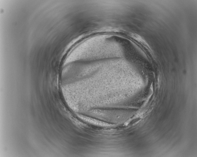 X0000061141220200512091925