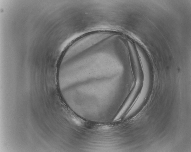 X0000061141222200512091925