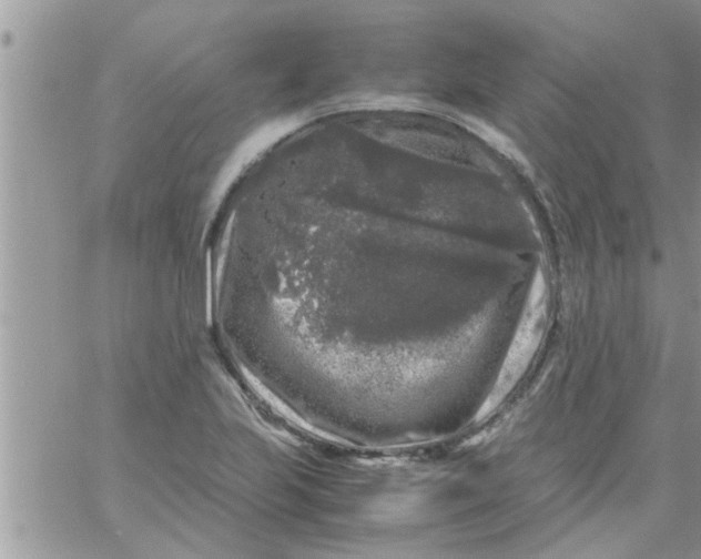 X0000061141223200512091925