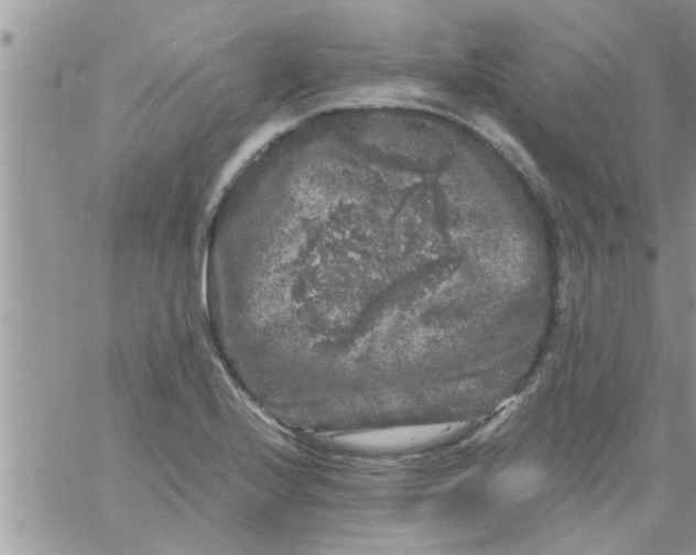 X0000061141224200512091925