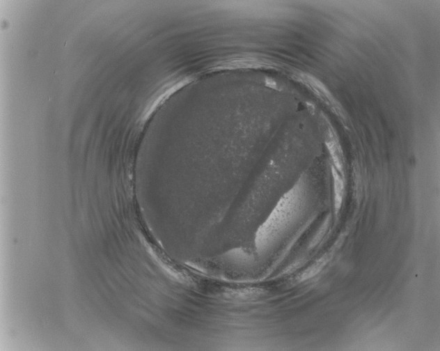 X0000061141225200512091925