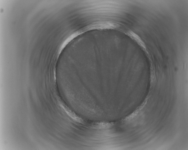 X0000061141226200512091925