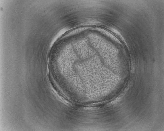 X0000061141227200512091925