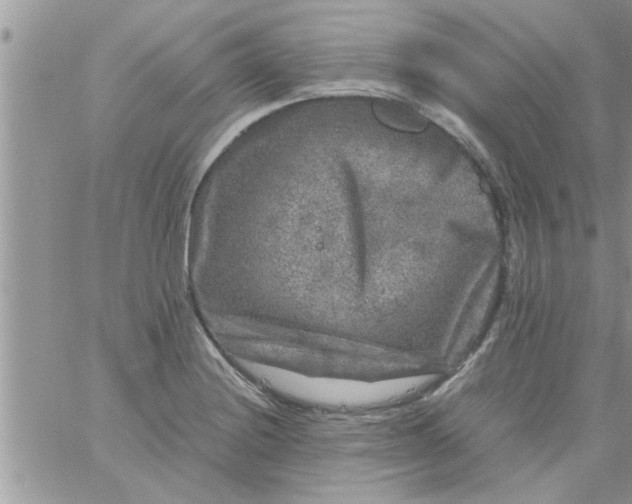 X0000061141228200512091925