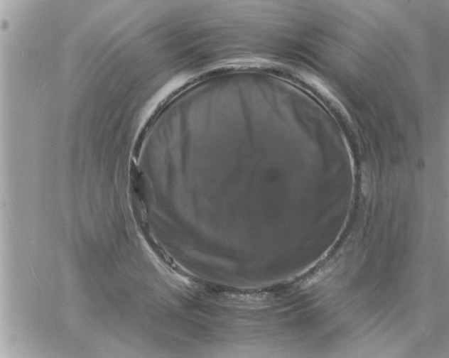 X0000061141229200512091925