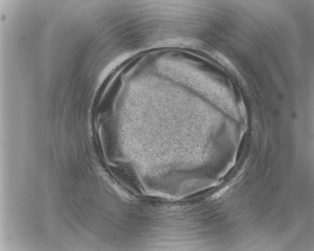 X0000061141230200512091925