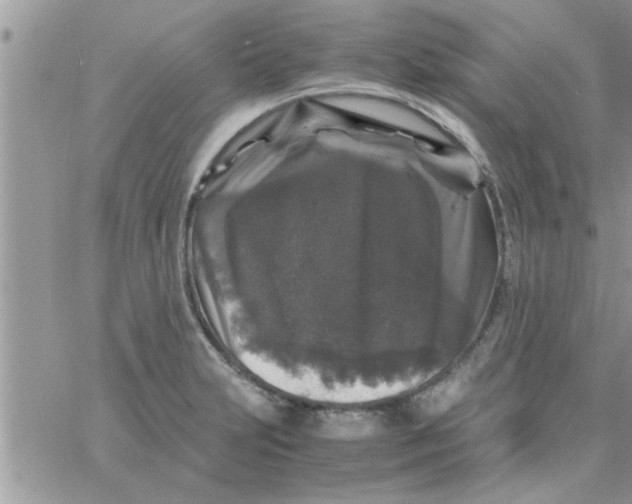 X0000061141231200512091925