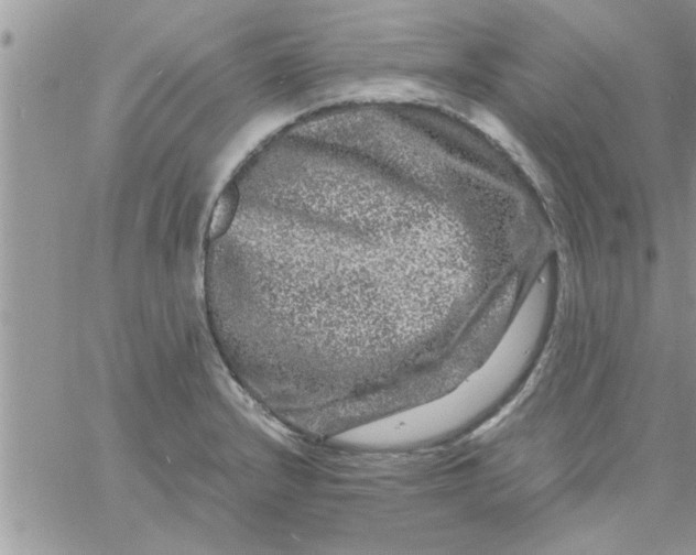 X0000061141232200512091925