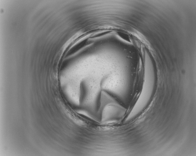 X0000061141234200512091925