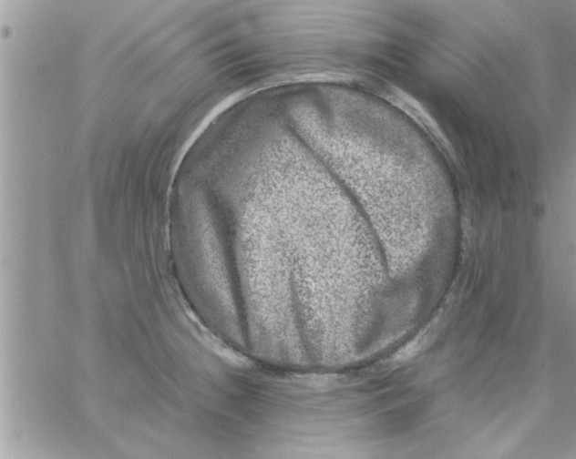 X0000061141236200512091925