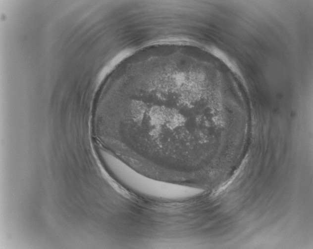 X0000061141237200512091926