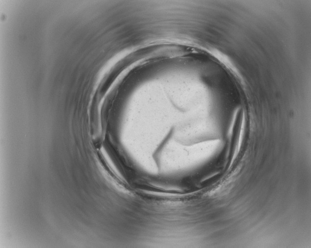 X0000061141238200512091926