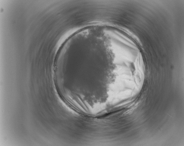 X0000061141239200512091926