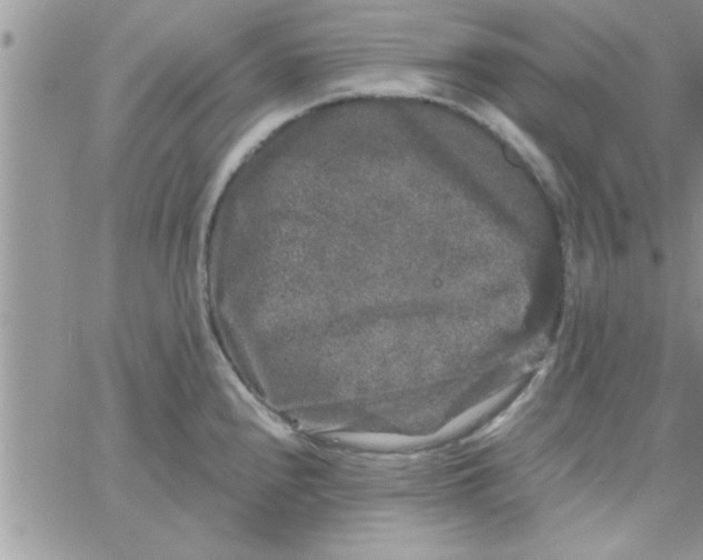 X0000061141240200512091926