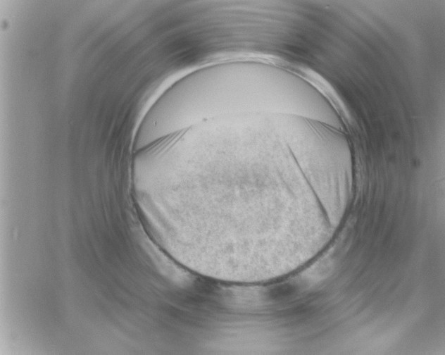 X0000061141244200512091926