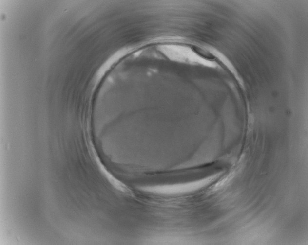 X0000061141245200512091926