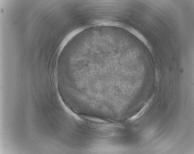 X0000061141247200512091926