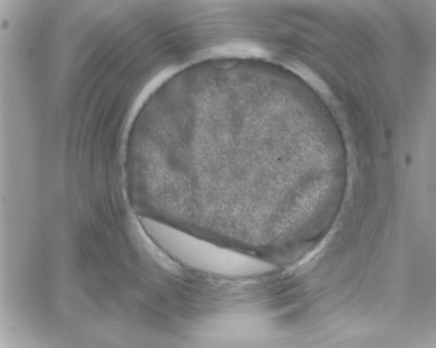 X0000061141248200512091926