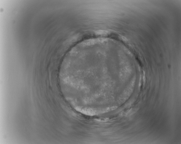 X0000061141249200512091925