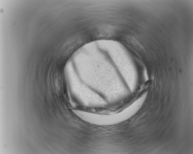 X0000061141250200512091925