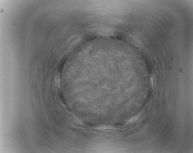 X0000061141251200512091925