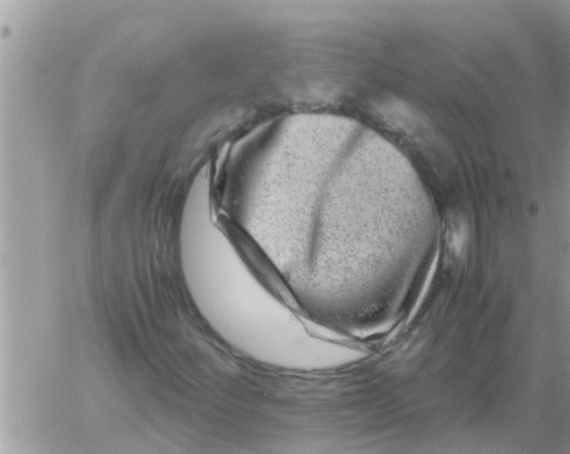 X0000061141252200512091925