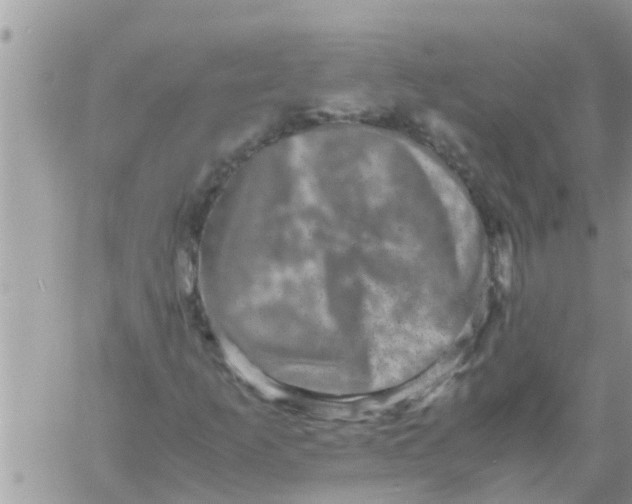 X0000061141253200512091925