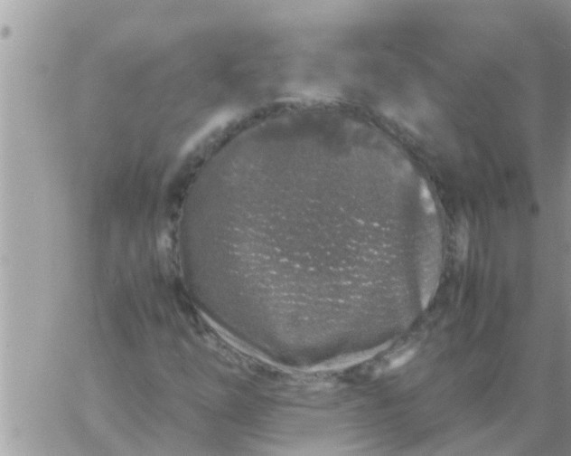 X0000061141254200512091925