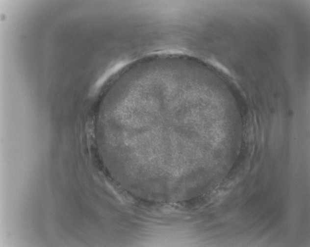 X0000061141255200512091925