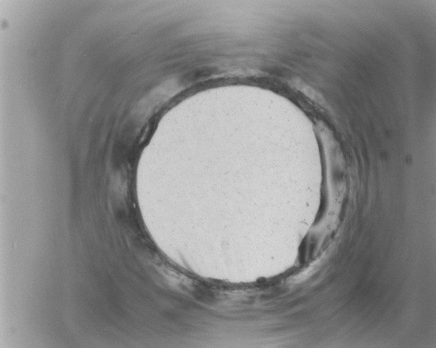 X0000061141257200512091925