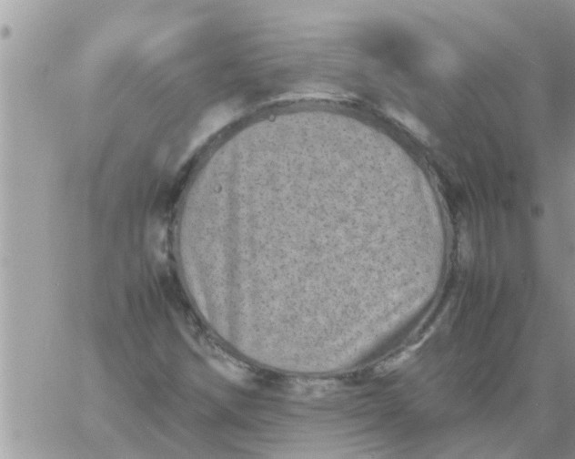 X0000061141258200512091925