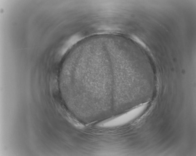 X0000061141259200512091925