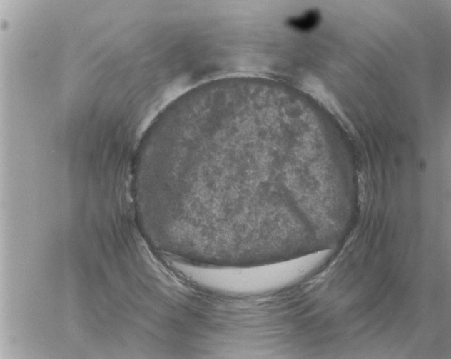 X0000061141260200512091925