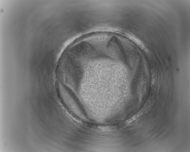 X0000061141264200512091925