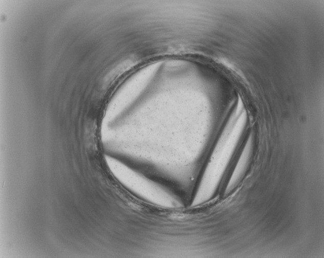 X0000061141265200512091925